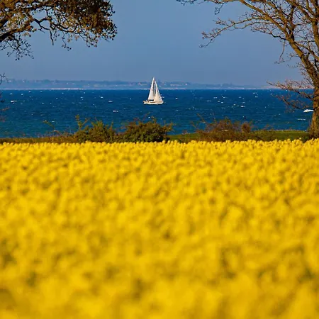 Apartmán Rooftop Garden 5 -7 Im Ostseeresort